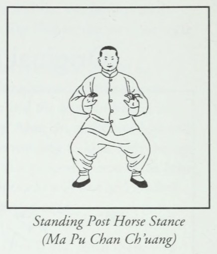 Minh hoạ gốc — nhu hoá cuốn lui