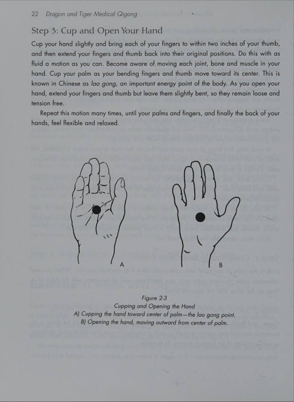 Hình 2-3 — Khum và mở bàn tay: A) khum về trung tâm lòng bàn tay (huyệt Lao Cung), B) mở ra