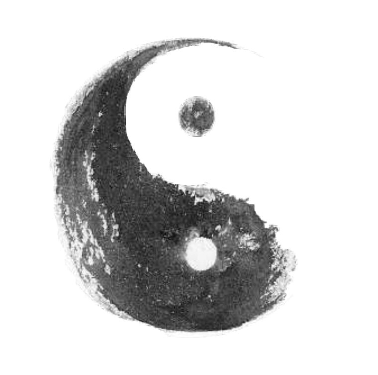 Bìa sách Cẩm Nang Người Trong Cuộc Về Thái Cực Quyền với biểu tượng Thái Cực âm dương