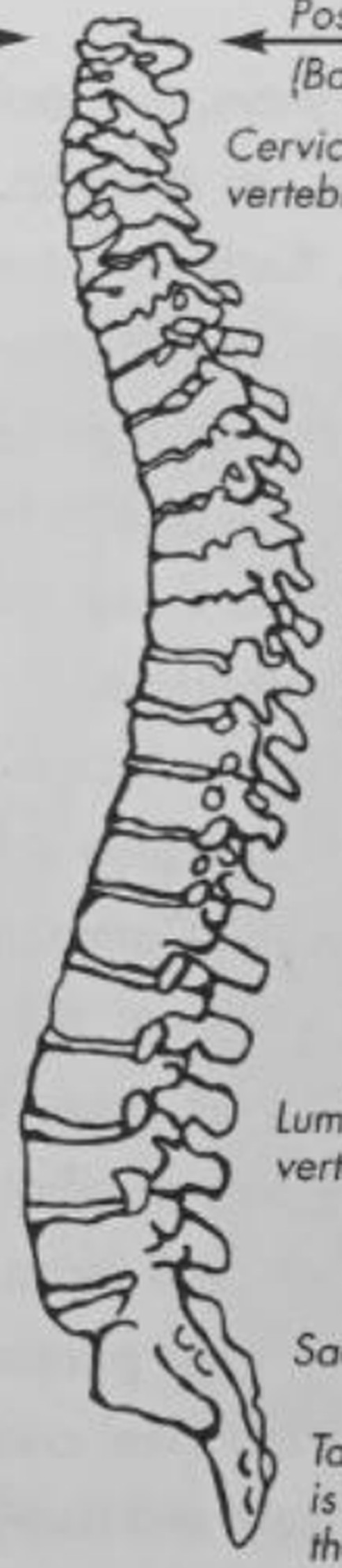 figure 14-1