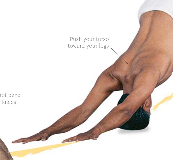 Adhomukha Svanasana — tựa trên phía trước đỉnh đầu