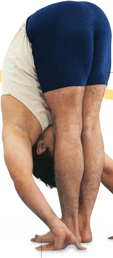 Uttanasana — kéo giãn hai đùi từ đầu gối đến hông