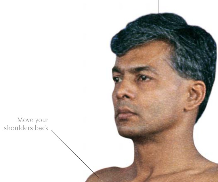 Dandasana — giữ cột sống vững