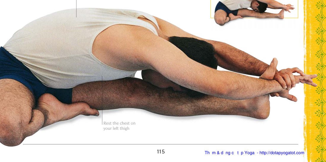 Janu Sirsasana — gập người về trước