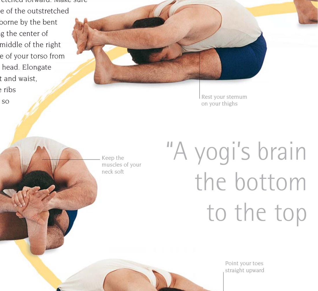 Trianga Mukhaikapada Paschimottanasana — giữ hai hông song song