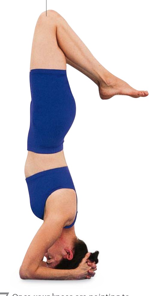 Marichyasana — đầu gối gập