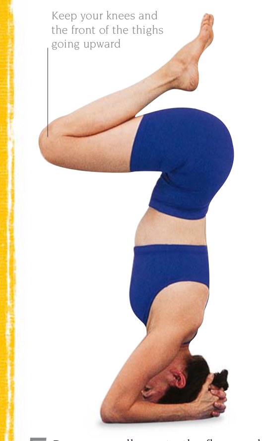 Marichyasana — cánh tay vòng quanh đầu gối