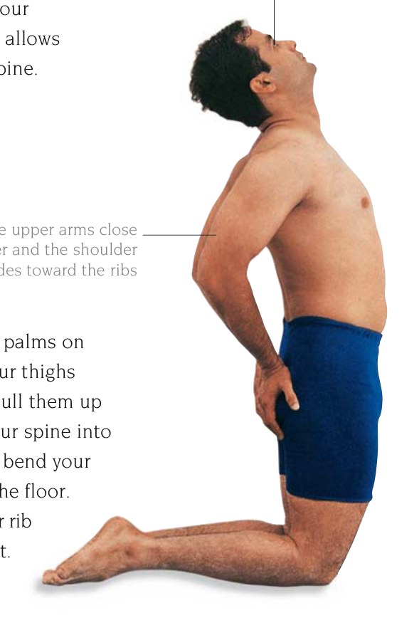 Ustrasana — mở rộng lồng ngực