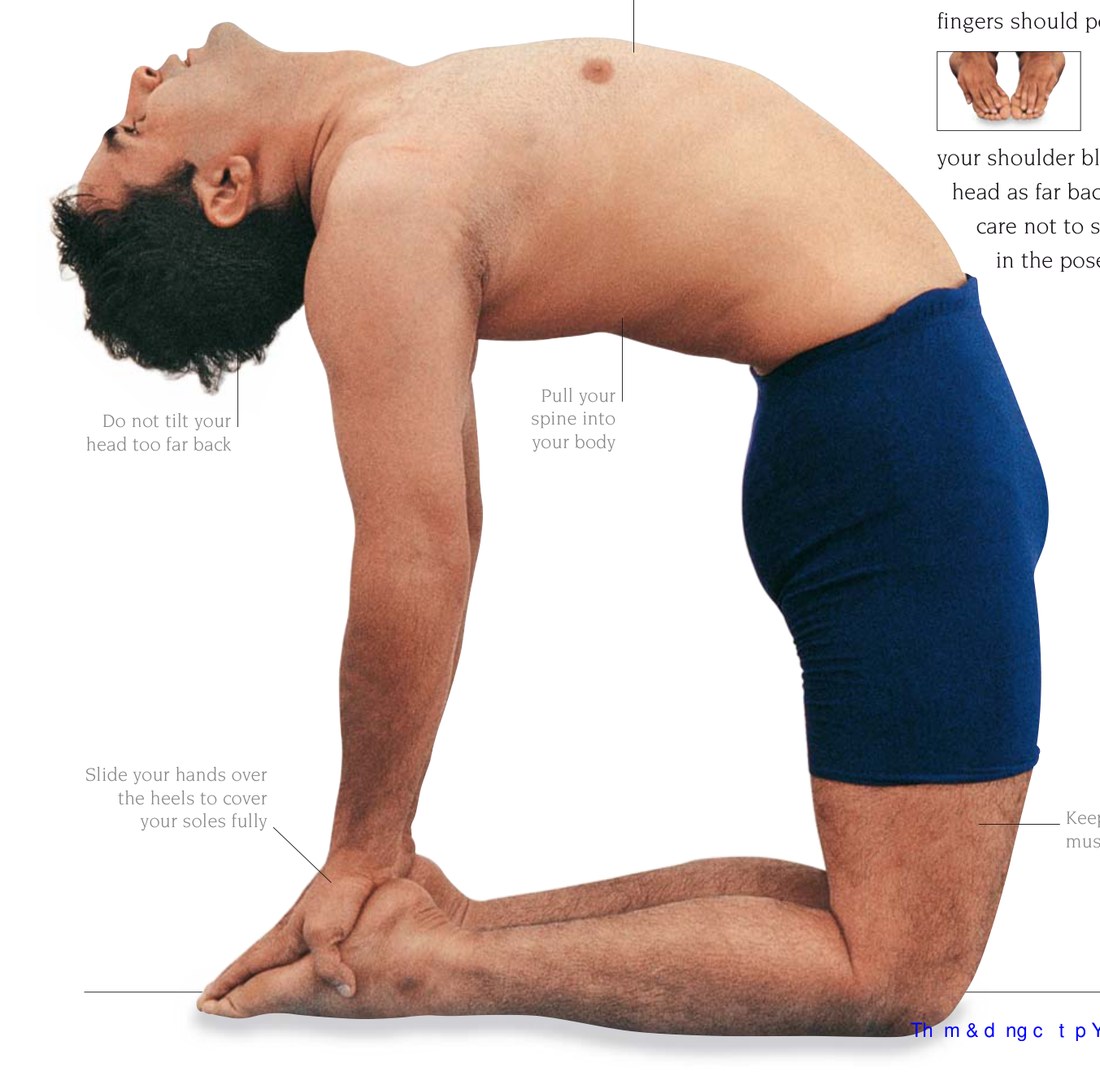 Urdhva Dhanurasana — hướng hai bàn chân về trước