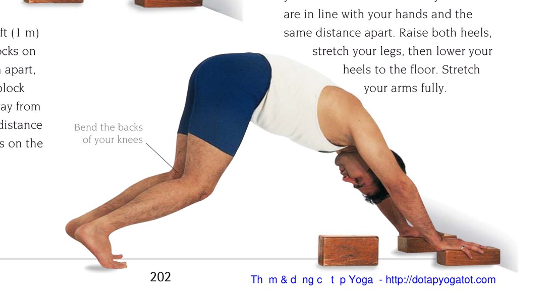 Trikonasana — chi tiết thân trên
