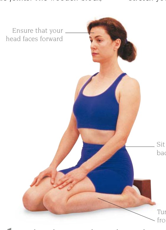Parsva Virasana — ngồi lưng thẳng đứng