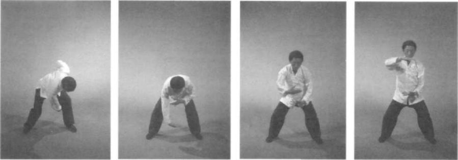 Âm Dương Đối Chưởng — chuỗi tư thế, phần 1