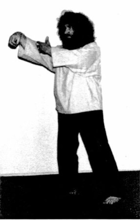Đơn Tiên (Single Whip) — hình 24, ảnh gốc trang 30
