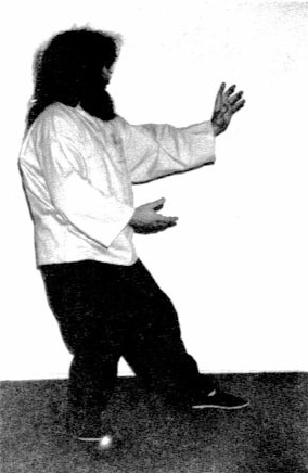 Lùi Bước, Đánh Lui Khỉ (Step Back, Repulse Monkey) — hình 56, ảnh gốc trang 41