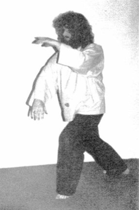 Nắm Đuôi Én (Grasping Swallow's Tail) — hình 65, ảnh gốc trang 45