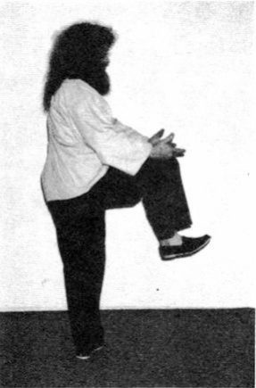 Xoay Người và Đá (Spin Around and Kick) — hình 95, ảnh gốc trang 55