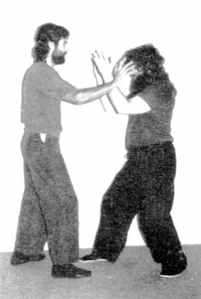 Tấn Công và Phòng Thủ Bổ Trợ Trong Đẩy Tay (Supplementary Push-Hands Attacks and Defense) — hình 169, ảnh gốc trang 86