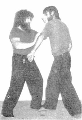 Một Phương Pháp Luyện Tập Cuối Cùng (A Final Training Method) — hình 196, ảnh gốc trang 95