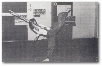 Hình A, ảnh gốc trang 12
