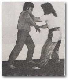 Hình A, ảnh gốc trang 27