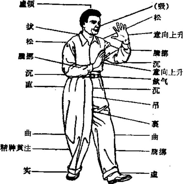 图 起
