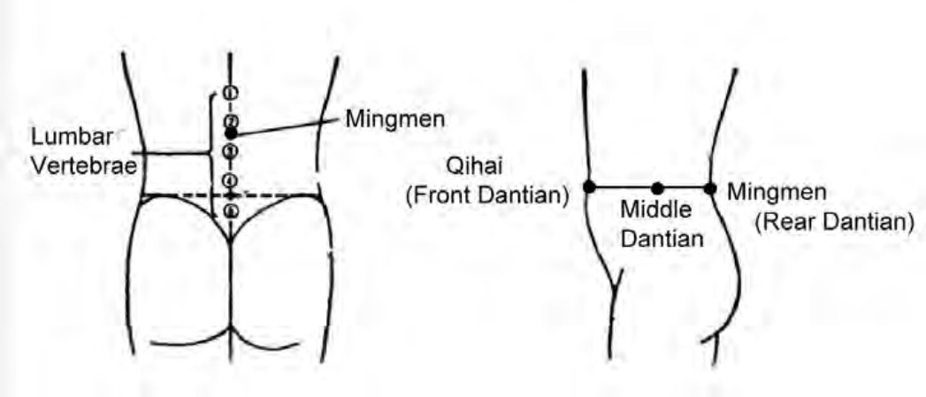 Sơ đồ Đan Điền và Mệnh Môn: các đốt sống thắt lưng, Khí Hải, Đan Điền giữa và Mệnh Môn