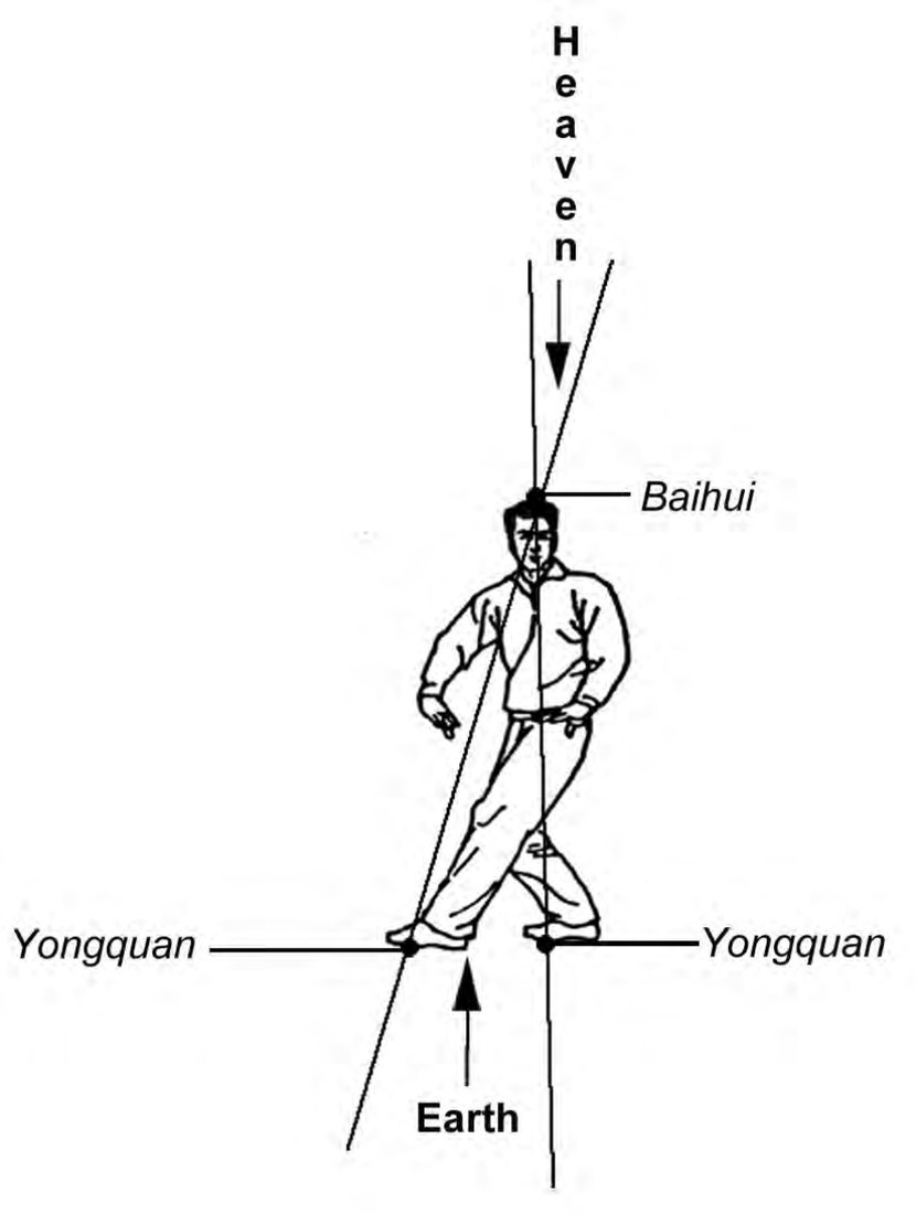 Các vòng tròn liên tục trong Bát Quái Chưởng