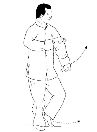 Thức 2 — Dã Mã Phân Tông, tư thế 2