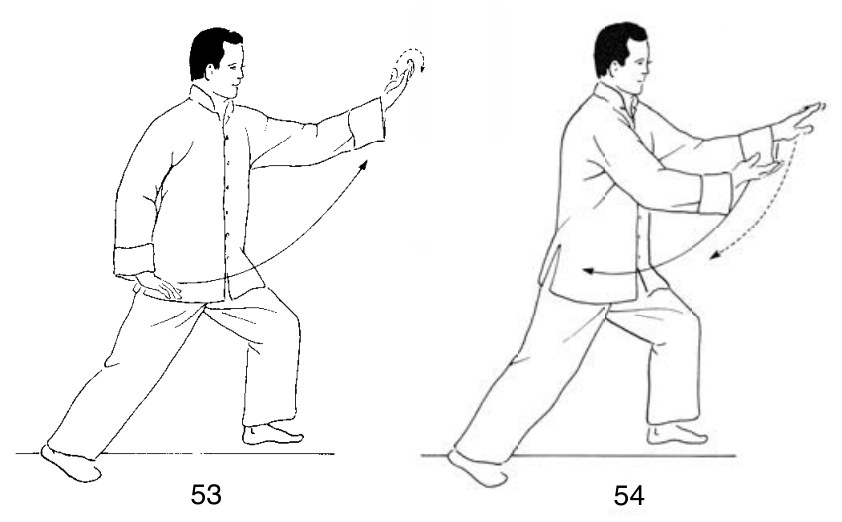 Thức 7 — Lãm Tước Vĩ (Tả), các tư thế trung gian
