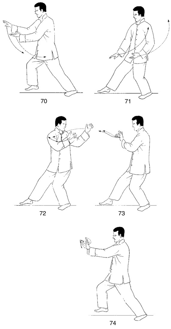 Thức 8 — Lãm Tước Vĩ (Hữu), chuyển trọng lượng