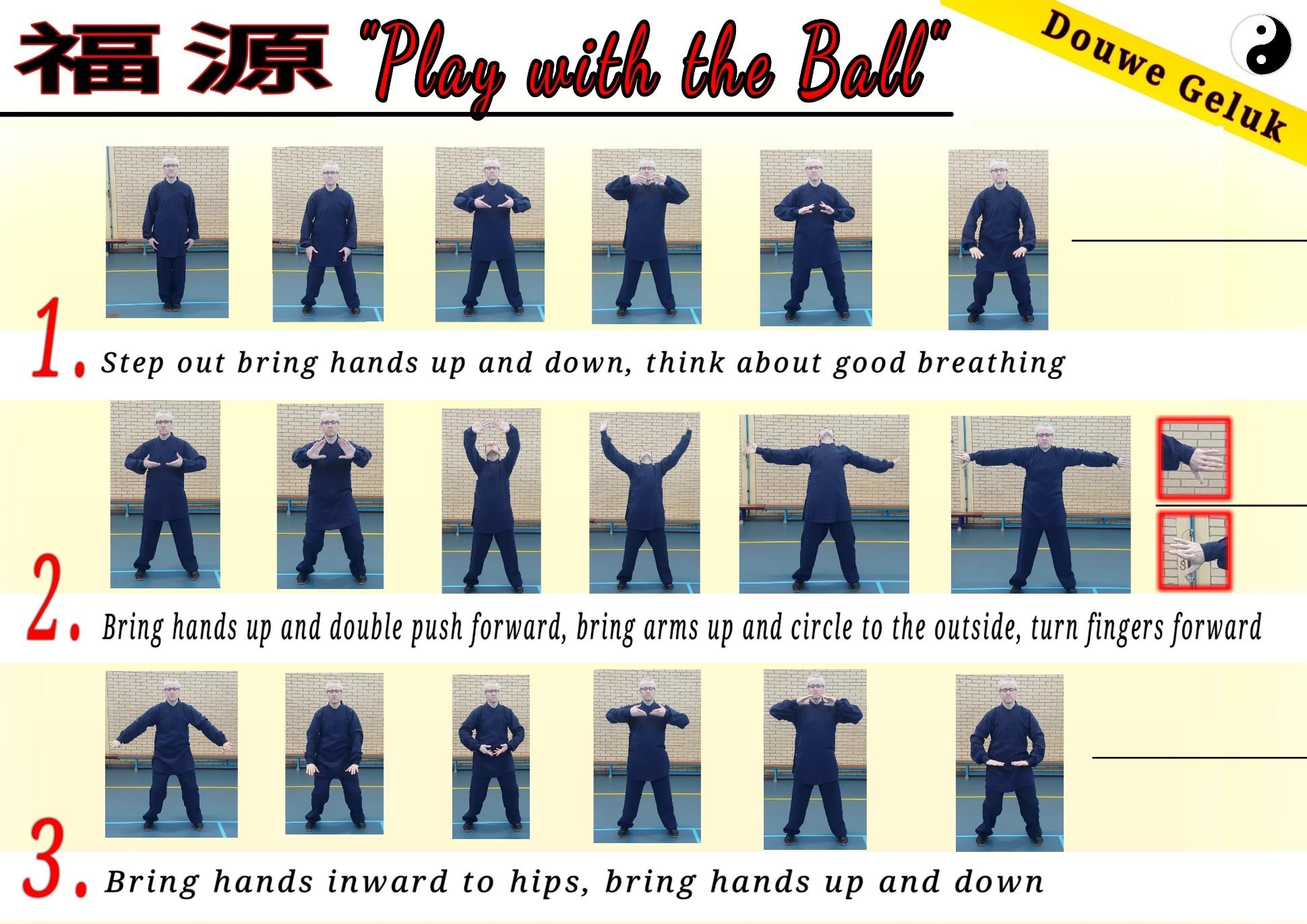 Bài tập 福源 “Chơi Với Quả Bóng” (Play with the Ball) — bộ 福源 của Douwe Geluk.