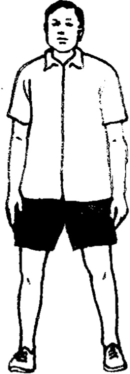 Hình 1 — Vô Cực Thức
