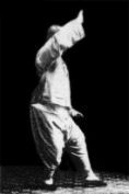 Liên hoa cước — Lotus Kick