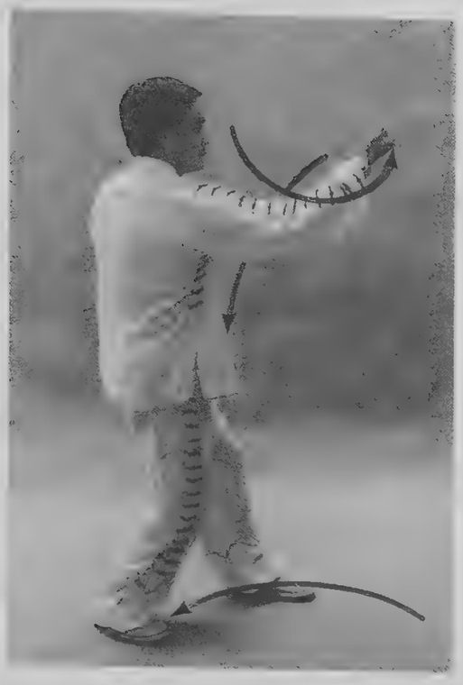 Pháo Quyền tay trái