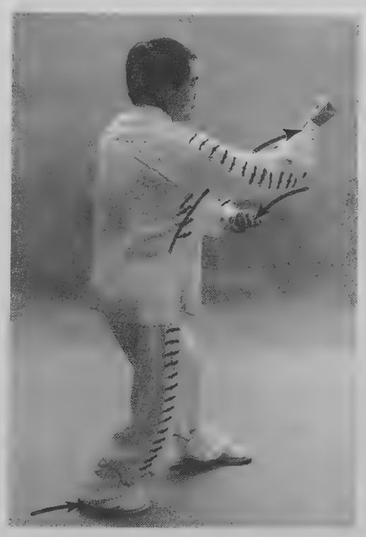 Bước chân trái về trước, Phách Quyền tay trái