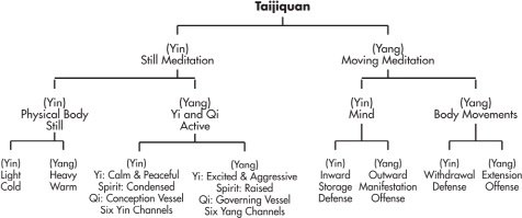 Âm dương của Thái Cực