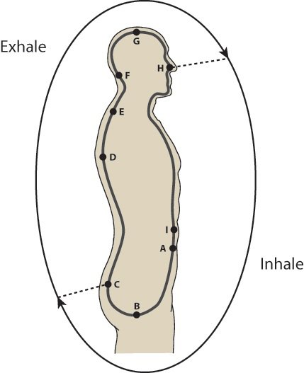 Chu kỳ một hơi thở (Phật giáo)