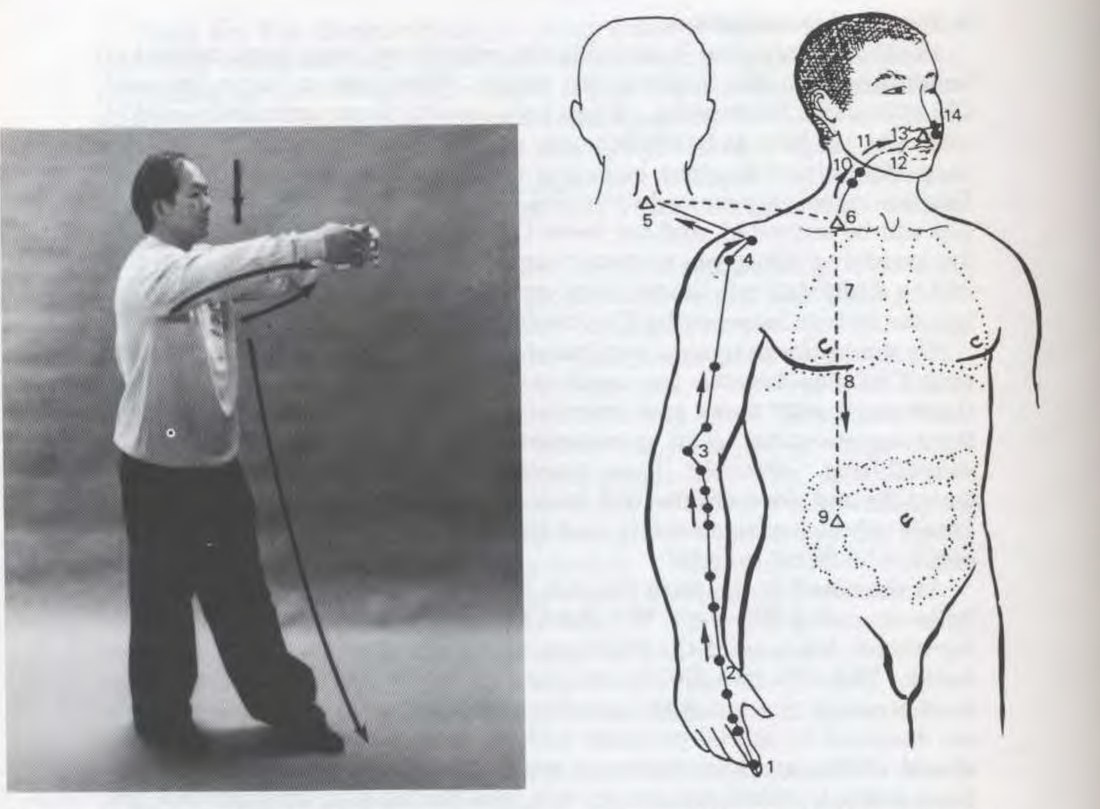 Tư thế Vòng Tay