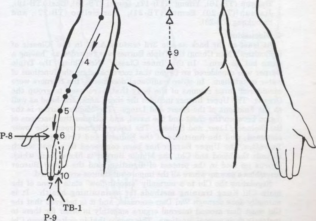 Kinh Tâm bào thủ quyết âm