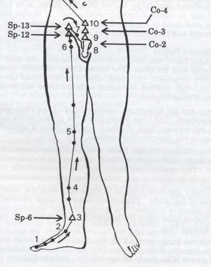 Kinh Can túc quyết âm