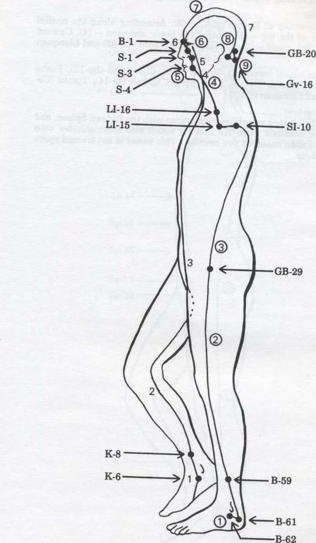 Dương Kiểu mạch (Yangchiao Mei) và Âm Kiểu mạch (Yinchiao Mei)