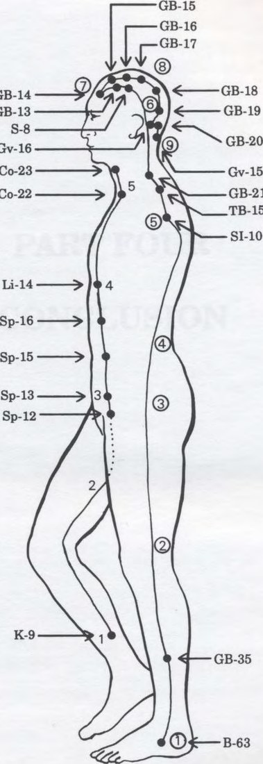 Dương Duy mạch (Yangwei Mei) và Âm Duy mạch (Yinwei Mei)
