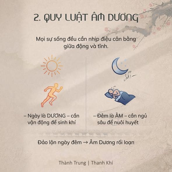 Thiên Thứ 211