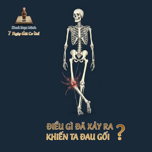 KHÍ — NỀN TẢNG CỦA SINH MỆNH